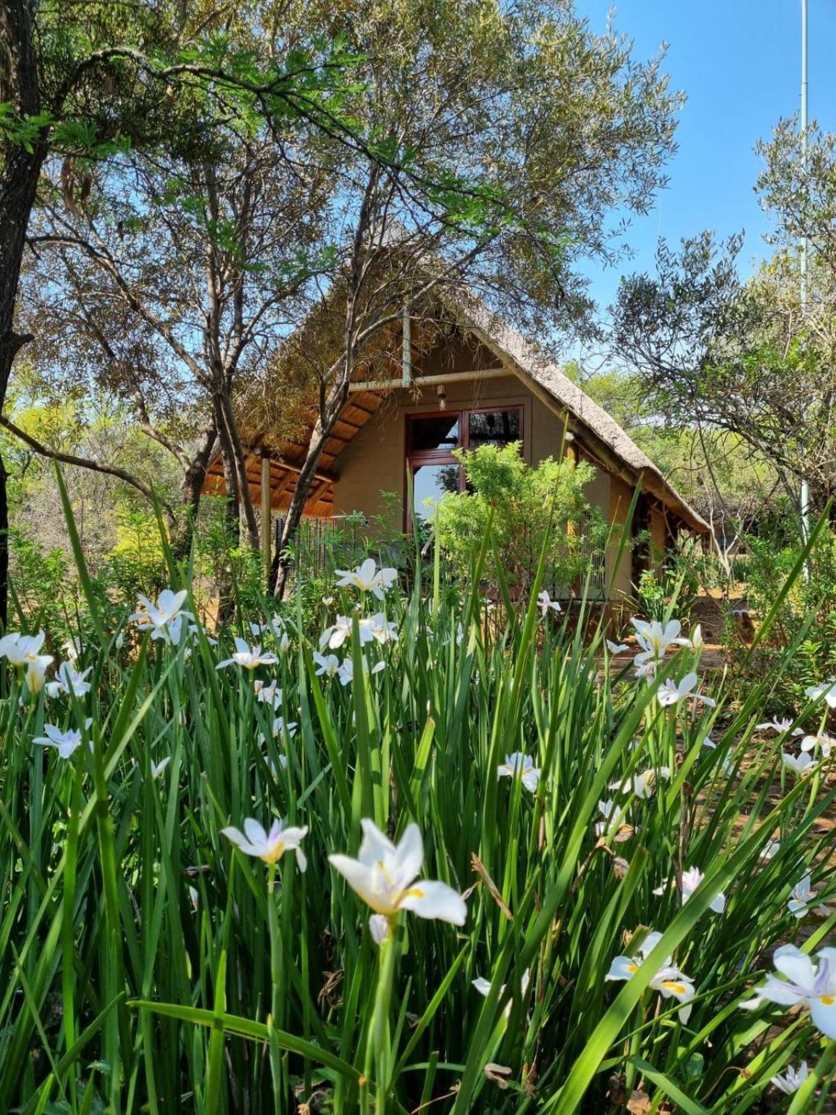 Tidimalo Lodge 勒斯滕堡 外观 照片