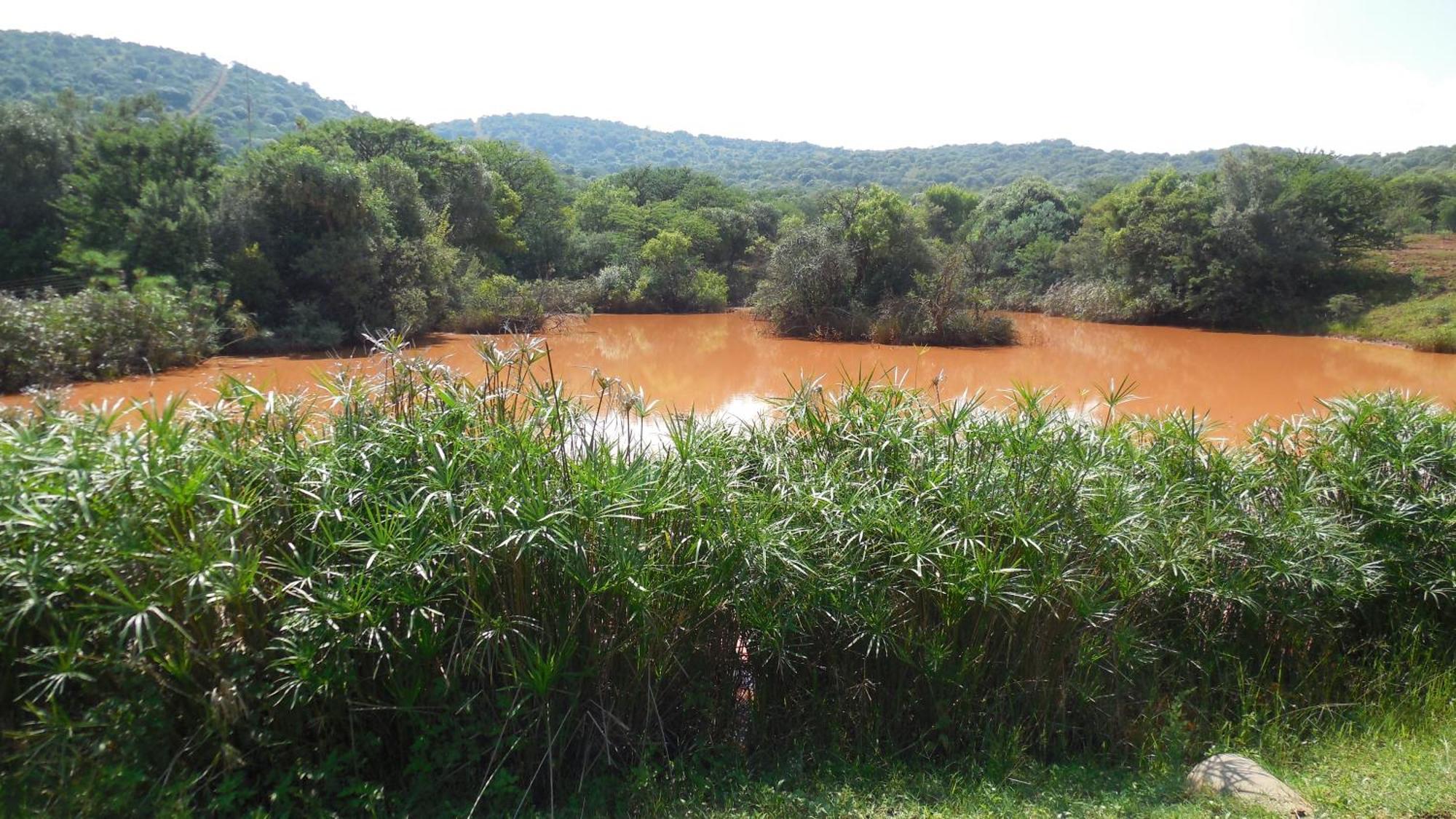 Tidimalo Lodge 勒斯滕堡 外观 照片