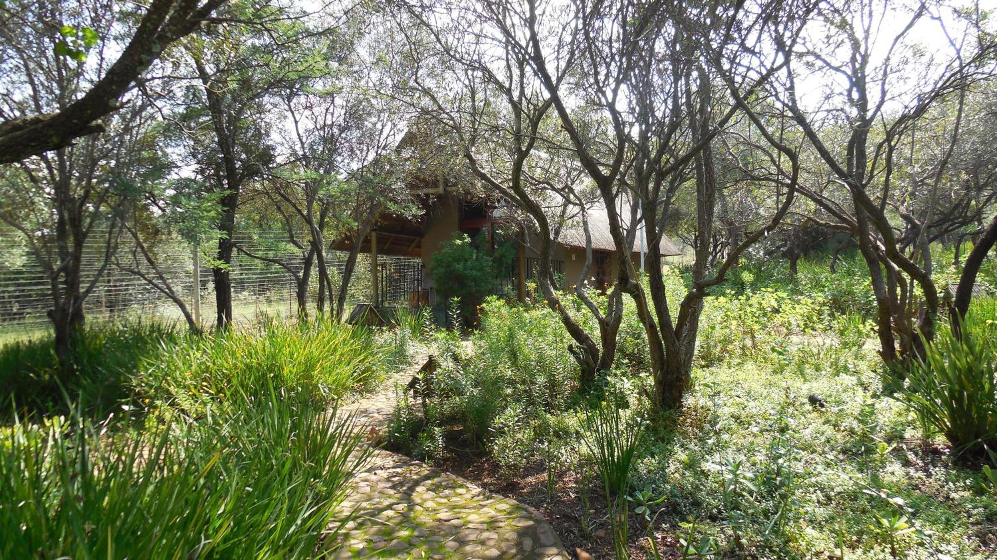 Tidimalo Lodge 勒斯滕堡 外观 照片