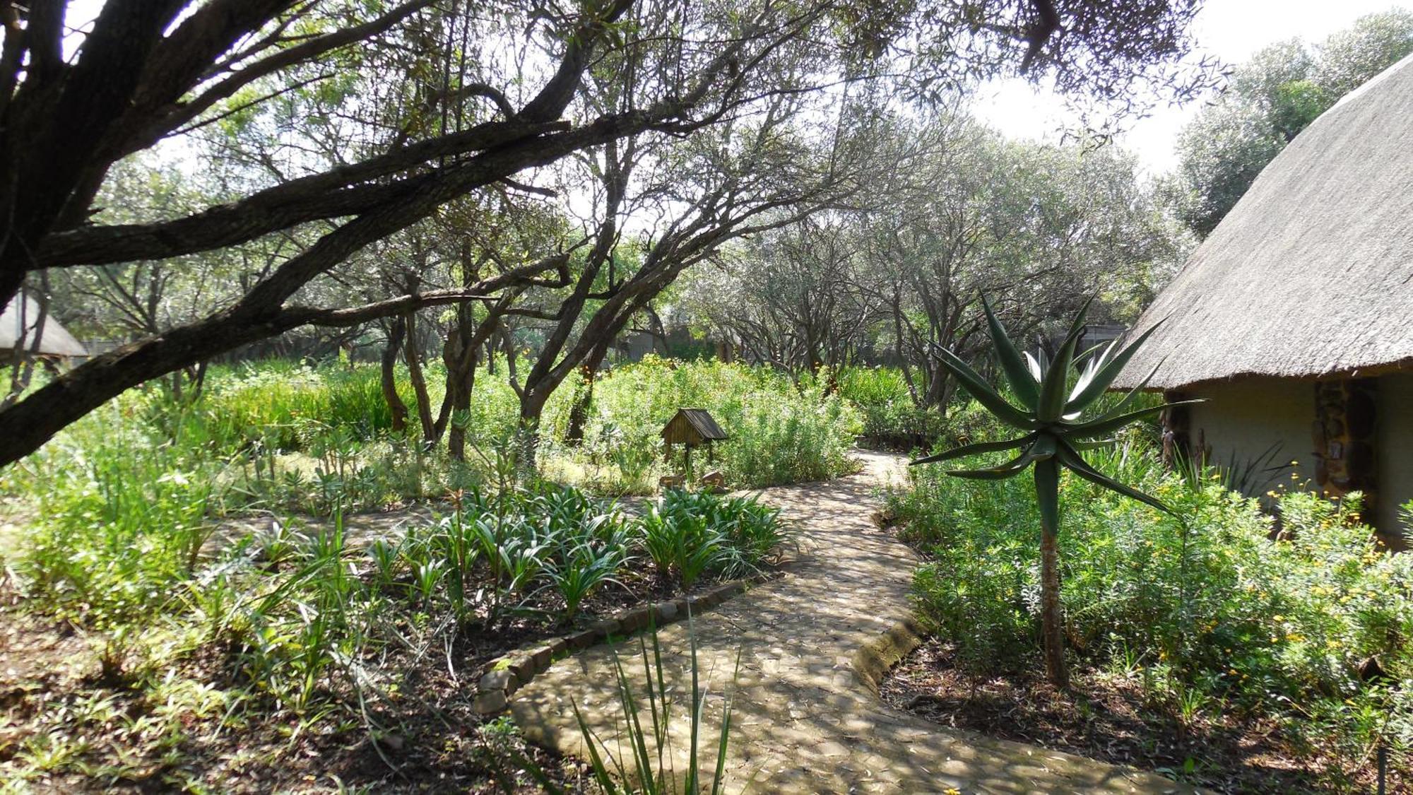 Tidimalo Lodge 勒斯滕堡 外观 照片